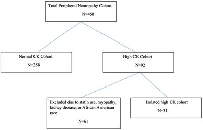 Elevated Creatinine Kinase in Peripheral Neuropathy Is Associated With Muscle Cramping